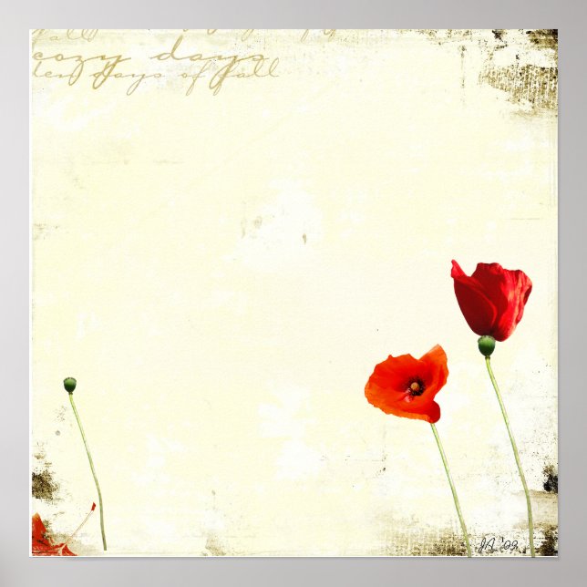 unbenannt poster (Vorne)