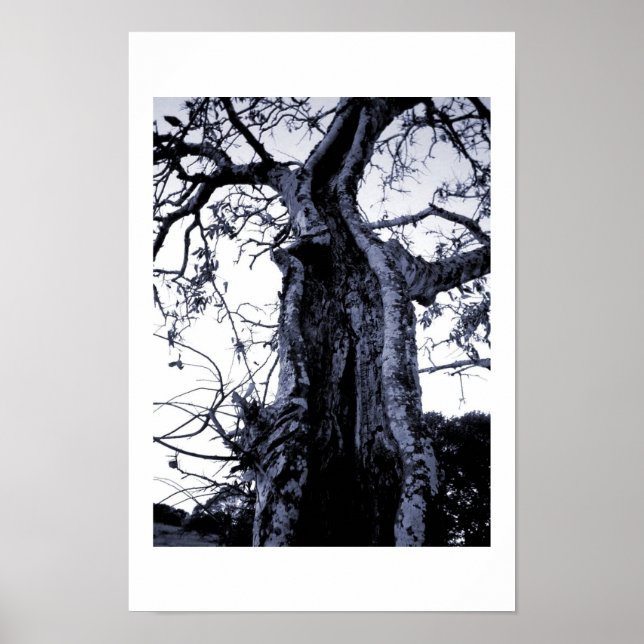 unbenannt poster (Vorne)