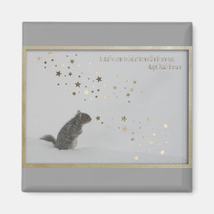 Unberechtigter Magnet