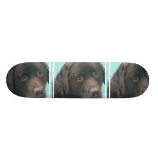 unbestimmt skateboard