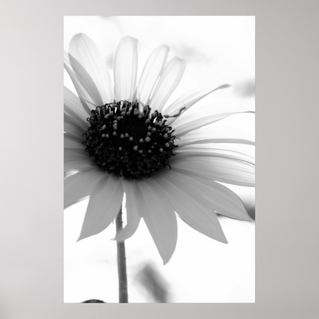 Unbetiteltes Poster (Vorne)