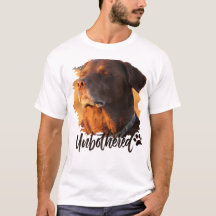 Unbothered Golden Hour Dog – Premium Minimalist