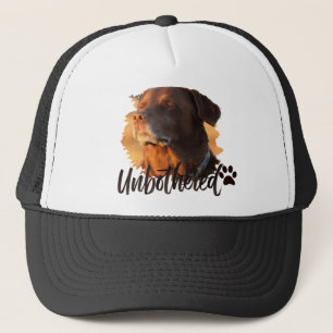 Unbothered Golden Hour Hund – Premium Minimalist  Truckerkappe