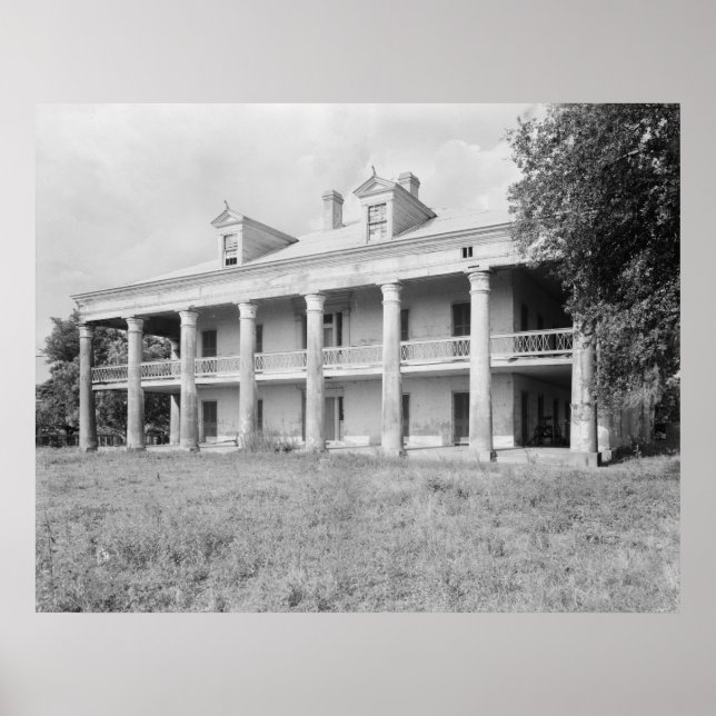 Uncle Sam Plantation Poster (Vorne)