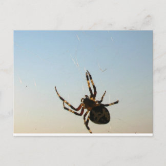 Und da saß eine Spinne Postkarte