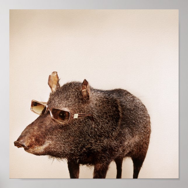 Und du bist es? poster (Vorne)