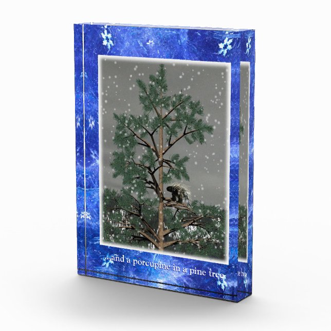 Und eine Porcupine in einem Kiefernbaum Fotoblock (Rechts)