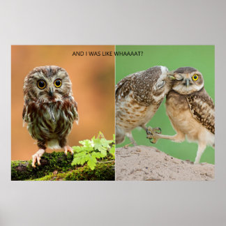 Und ich war wie Whaaaat? Poster