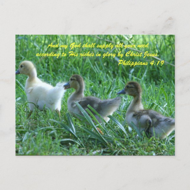 Und mein Gott wird alle eure Bedürfnisse gemäß Postkarte (Vorderseite)