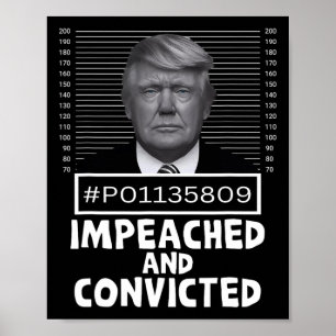 Und verurteilte Felon 45 Funny Anti Trump Mugshot Poster