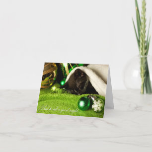 Und zu allem eine gute NachtMiezekatze-Karte Feiertagskarte