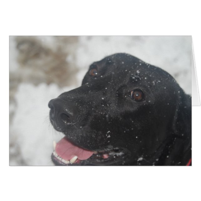 undefiniert (Vorderseite (Horizontal))