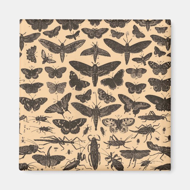 undefiniert magnet (Vorne)