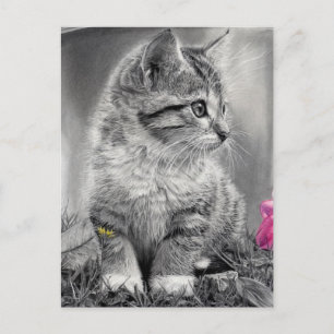 undefiniert postkarte