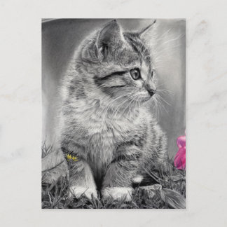 undefiniert postkarte