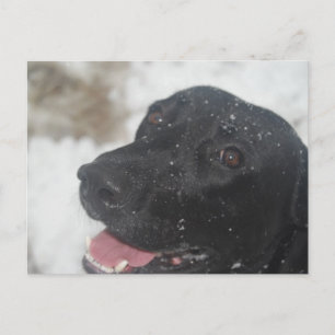 undefiniert postkarte