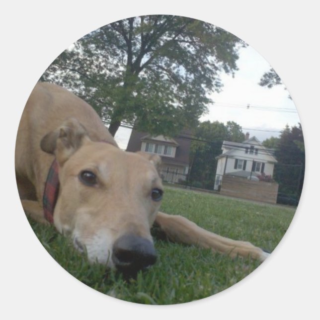 undefiniert runder aufkleber (Vorderseite)