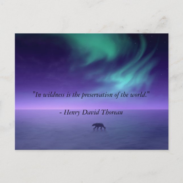 Under magic skies postkarte (Vorderseite)