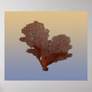 Undersea Red Sea Fan Nautical Vintage Style Poster