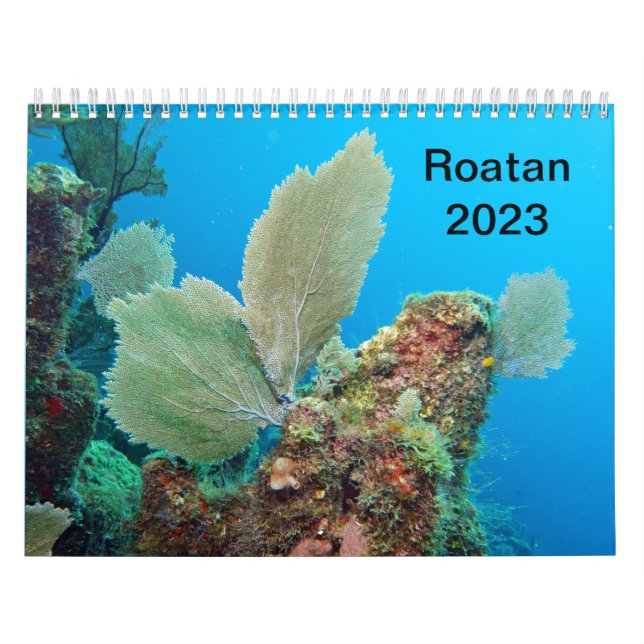 Underwater Calendar -- Roatan, Honduras Kalender (Titelbild)