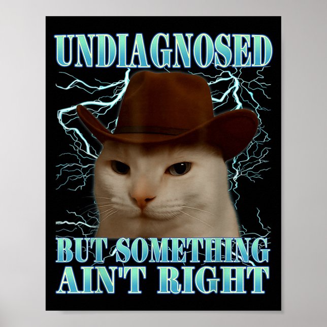 Undiagnosed But Soing Ain't Right Funny Silly Cat  Poster (Vorne)