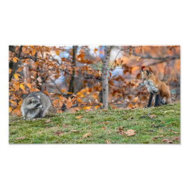 Uneasy-Begegnung Fotodruck