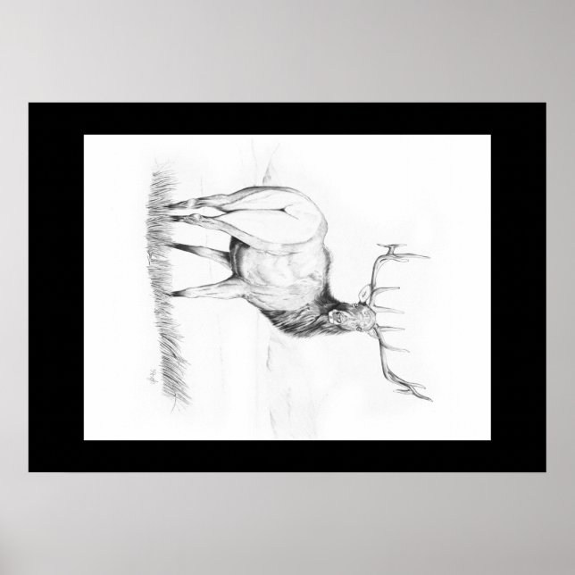 Unentscheidung ~ Elchposter Poster (Vorne)