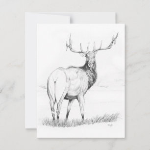 Unentschlossenheit - 4,25" x 5,5" Einladung