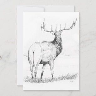 Unentschlossenheit - 5" x 7" Einladung