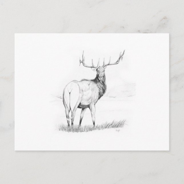 Unentschlossenheit Postkarte (Vorderseite)