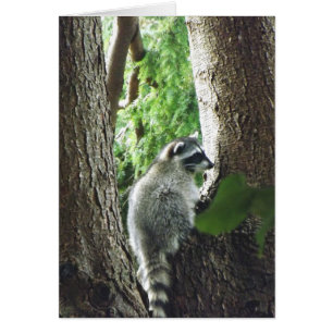 Unerwarteter Besucher