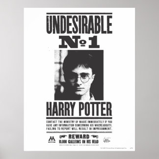 Unerwünscht Poster
