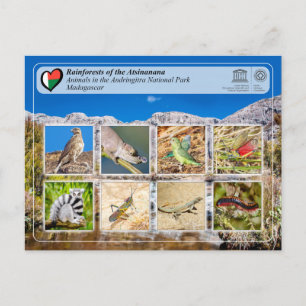 UNESCO - Atsinanana - Nationalpark Anitra Po Postkarte