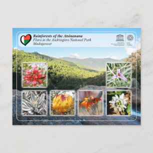 UNESCO - Atsinanana - Nationalpark Anitra Postkarte