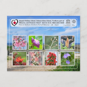 UNESCO - Nordteil der Insel Okinawa - 沖 縄 島 部 Postkarte
