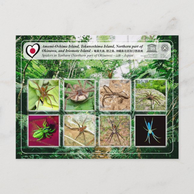 UNESCO - Nordteil der Insel Okinawa - 沖 縄 島 部 Postkarte (Vorderseite)