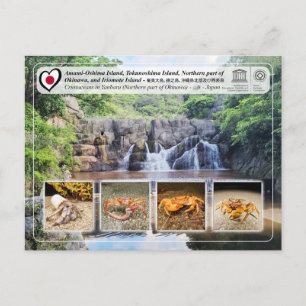 UNESCO - Nordteil der Insel Okinawa - 沖 縄 島 部 Postkarte