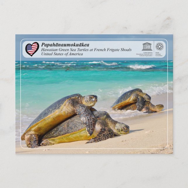 UNESCO - Papahānaumokuākea - Französische Wassersc Postkarte (Vorderseite)