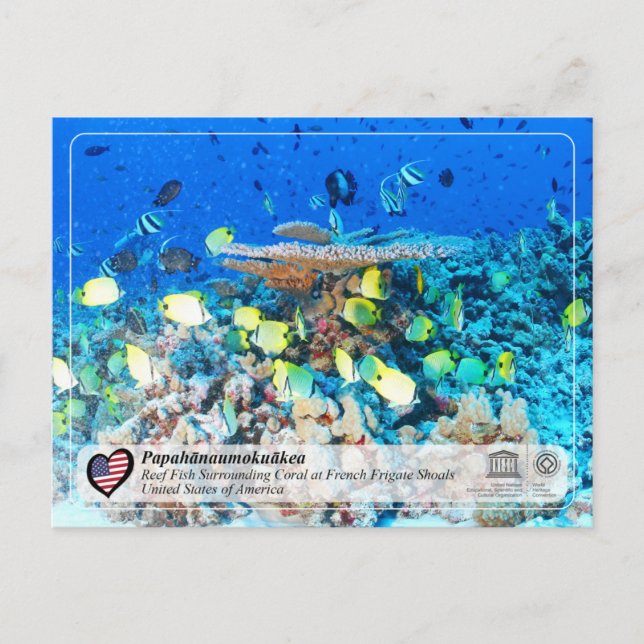 UNESCO - Papahānaumokuākea - Französische Wassersc Postkarte (Vorderseite)