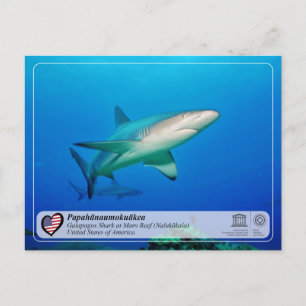 UNESCO - Papahānaumokuākea - Maro Reef Postcard Postkarte