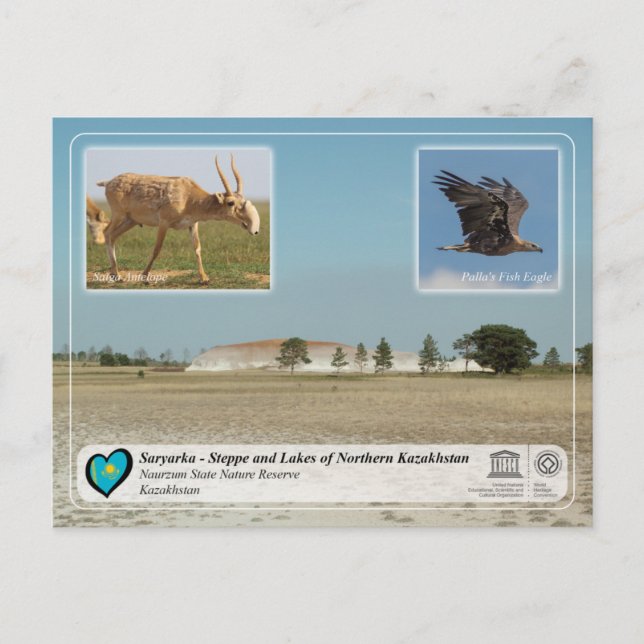 UNESCO - Saryarka - Naturschutzgebiet Naurzum Staa Postkarte (Vorderseite)