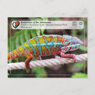 UNESCO WH- Atsinanana - Masoala Nationalpark Postkarte