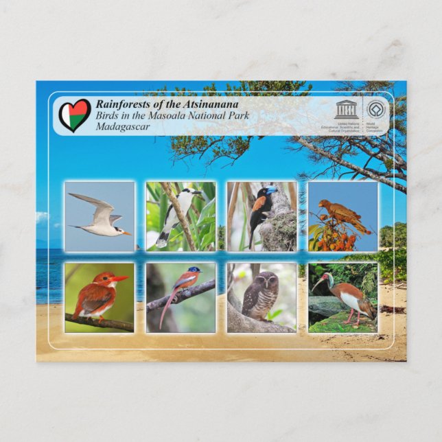 UNESCO WH- Atsinanana - Masoala Nationalpark Postkarte (Vorderseite)