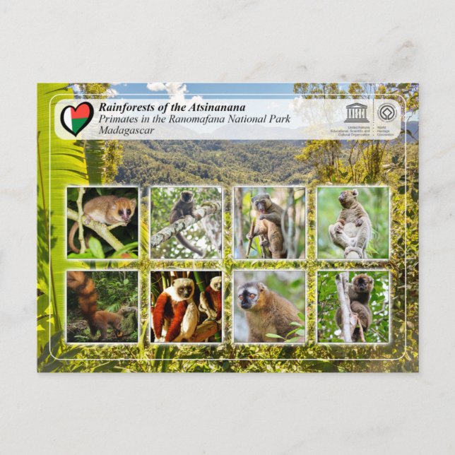 UNESCO WH- Atsinanana - Nationalpark Ranomafana Postkarte (Vorderseite)