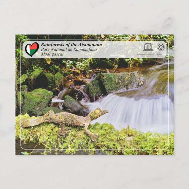 UNESCO WH- Atsinanana - Nationalpark Ranomafana Postkarte (Vorderseite)
