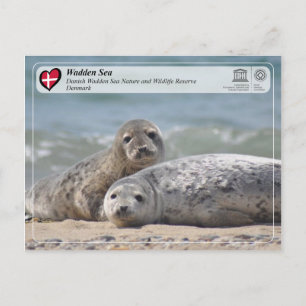 UNESCO WH- Dänisches Wattenmeer Postkarte