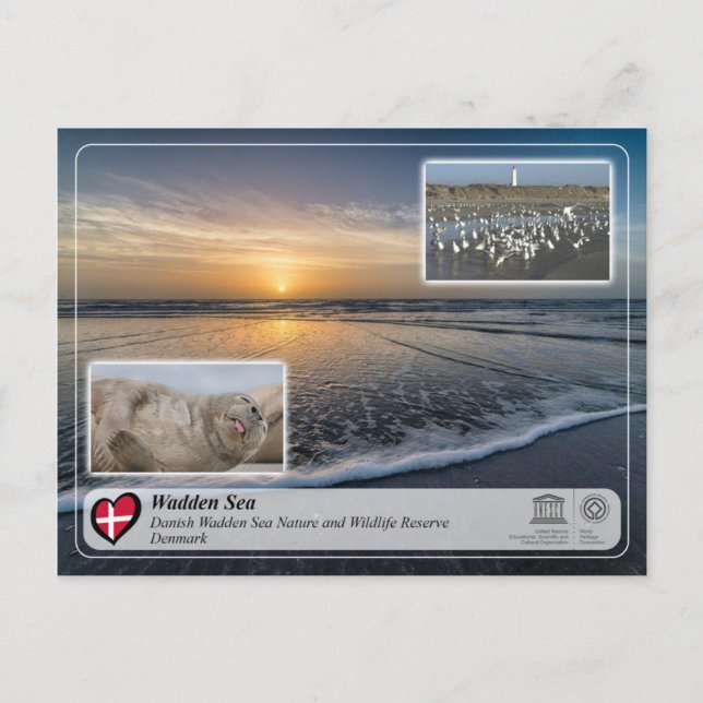 UNESCO WH- Dänisches Wattenmeer Postkarte (Vorderseite)