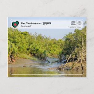 UNESCO WH- Die Sundarbans - সু ন্ দ র ব ন Postkarte