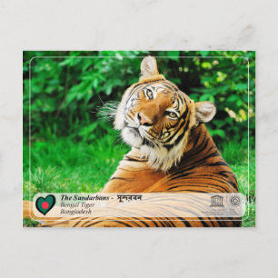 UNESCO WH- Die Sundarbans Postkarte