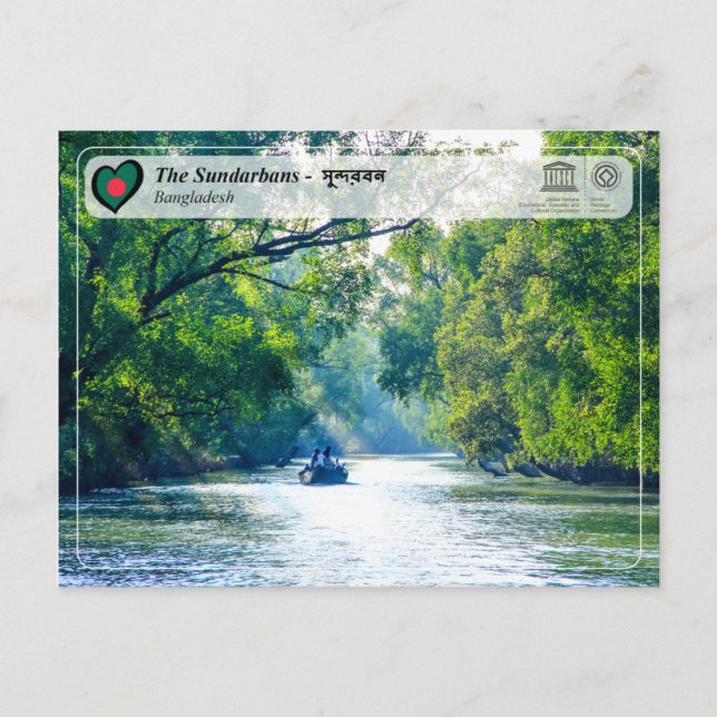 UNESCO WH- Die Sundarbans Postkarte (Vorderseite)
